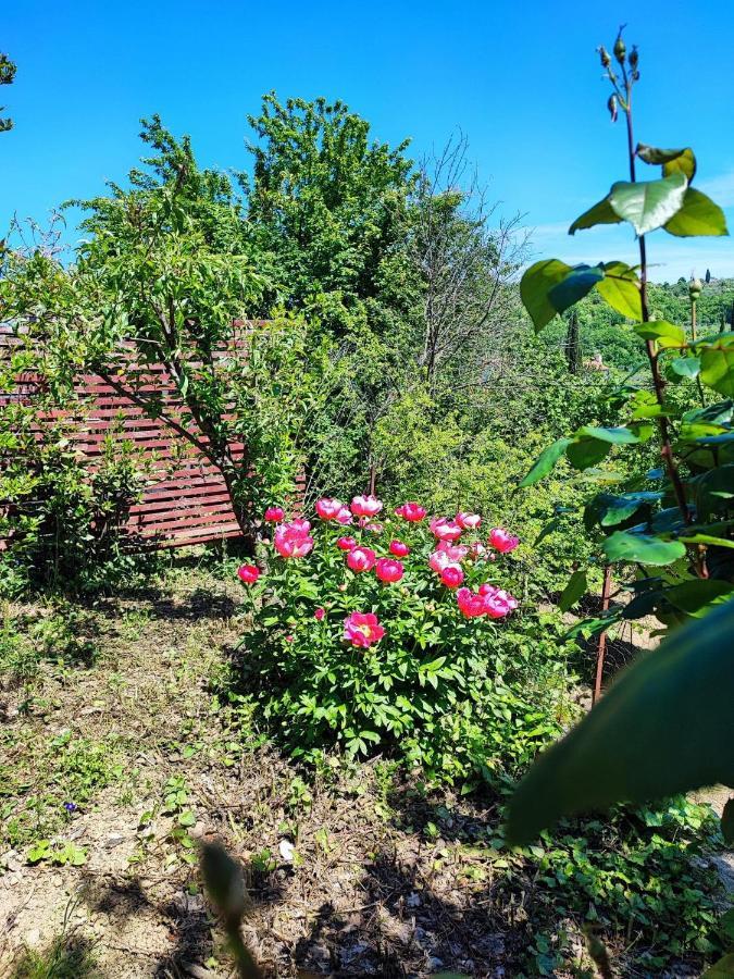 Apartment Dedo, Salara Farmhouse Koper Buitenkant foto